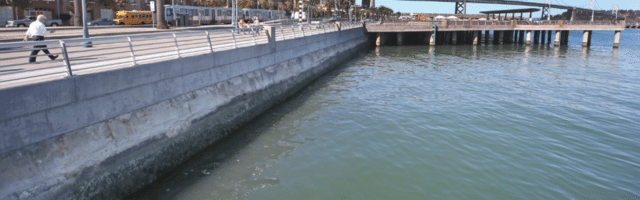 Photo of concrete seawall